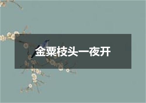 金粟枝头一夜开