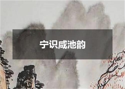 宁识咸池韵