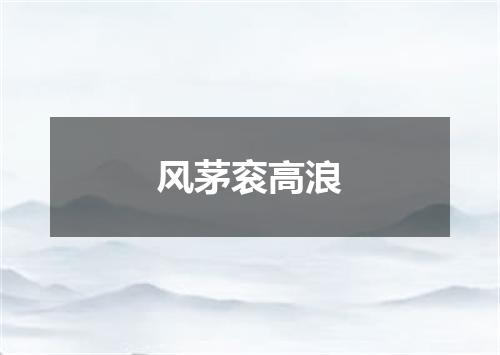 风茅衮高浪