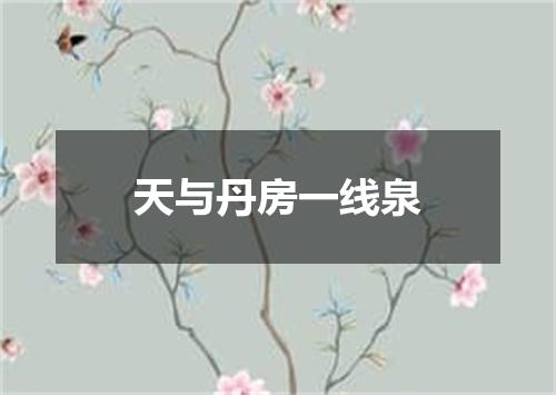 天与丹房一线泉