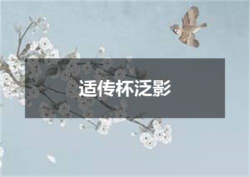 适传杯泛影