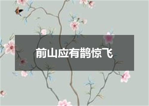 前山应有鹊惊飞
