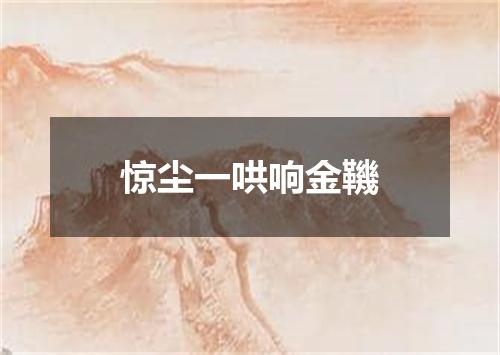惊尘一哄响金鞿