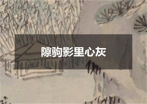 隙驹影里心灰