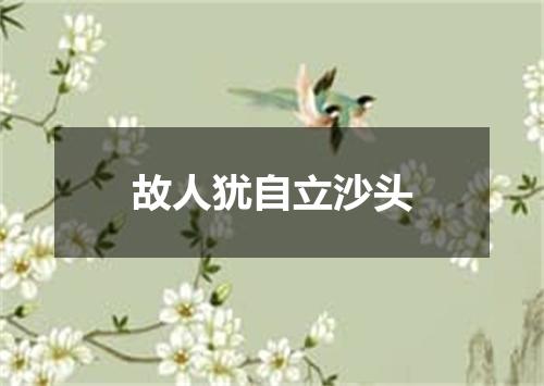 故人犹自立沙头