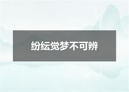 纷纭觉梦不可辨