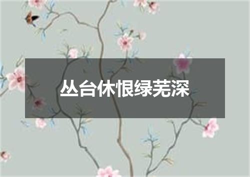 丛台休恨绿芜深