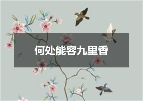 何处能容九里香