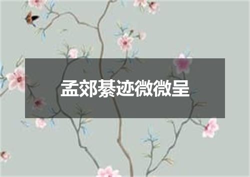 孟郊綦迹微微呈