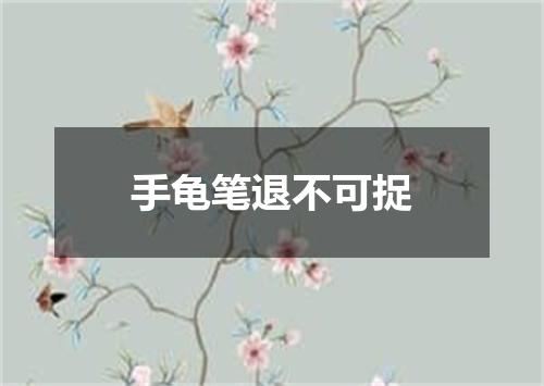 手龟笔退不可捉