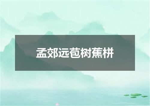 孟郊远苞树蕉栟