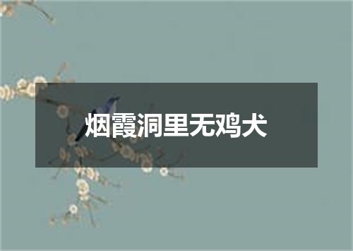 烟霞洞里无鸡犬
