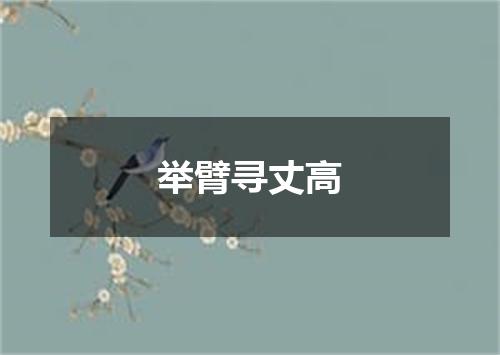 举臂寻丈高