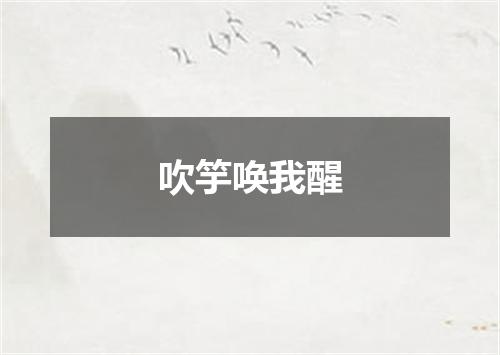 吹竽唤我醒