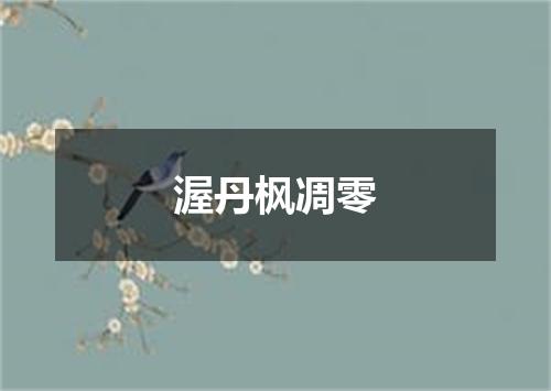渥丹枫凋零