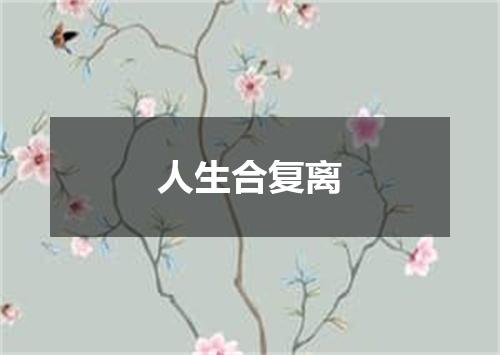 人生合复离