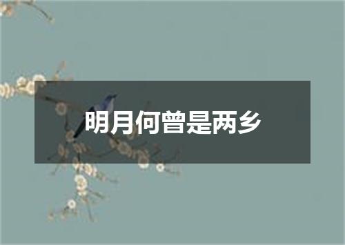 明月何曾是两乡