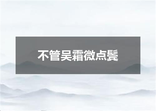 不管吴霜微点鬓
