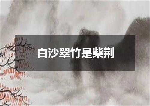 白沙翠竹是柴荆