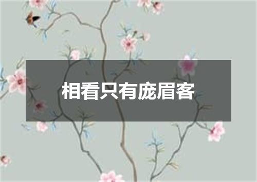 相看只有庞眉客