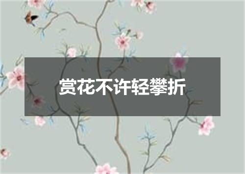 赏花不许轻攀折