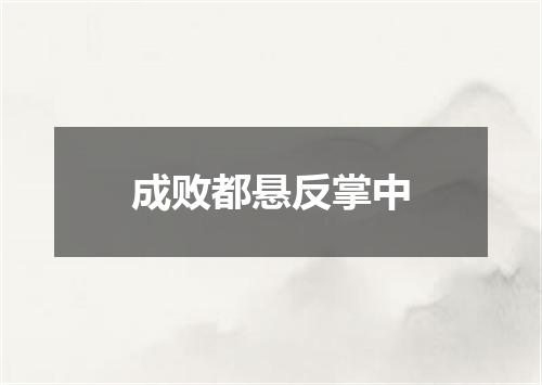 成败都悬反掌中