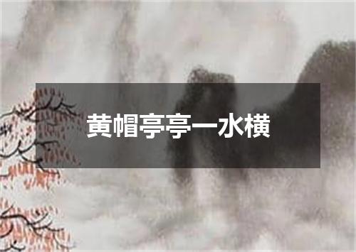 黄帽亭亭一水横