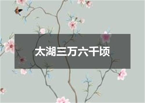 太湖三万六千顷