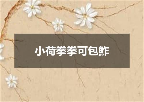 小荷拳拳可包鮓