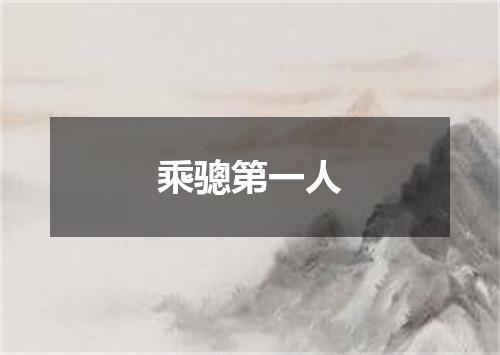 乘骢第一人
