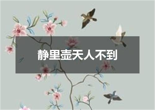 静里壶天人不到