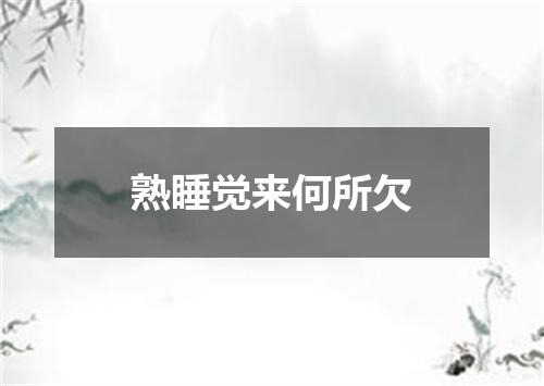 熟睡觉来何所欠