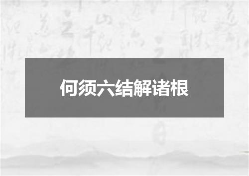 何须六结解诸根