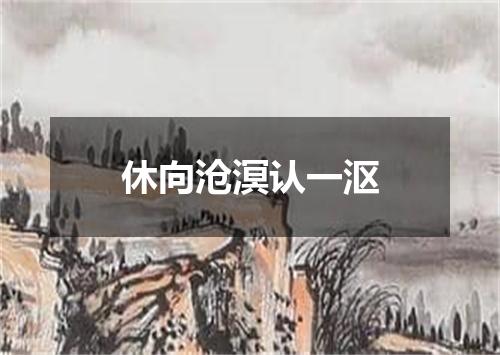休向沧溟认一沤