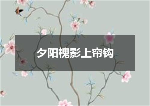 夕阳槐影上帘钩