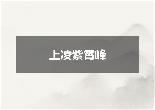 上凌紫霄峰