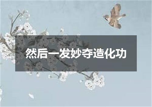 然后一发妙夺造化功