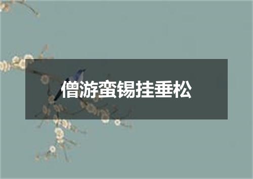 僧游蛮锡挂垂松