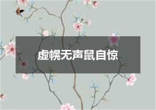 虚幌无声鼠自惊