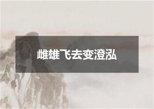 雌雄飞去变澄泓