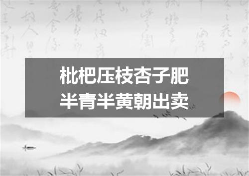 枇杷压枝杏子肥半青半黄朝出卖
