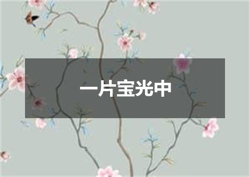 一片宝光中