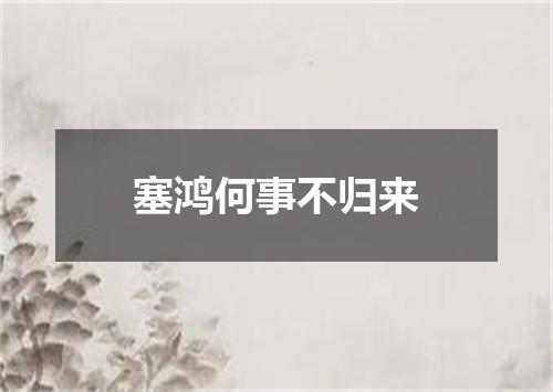 塞鸿何事不归来