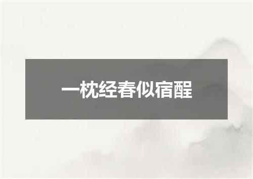 一枕经春似宿酲