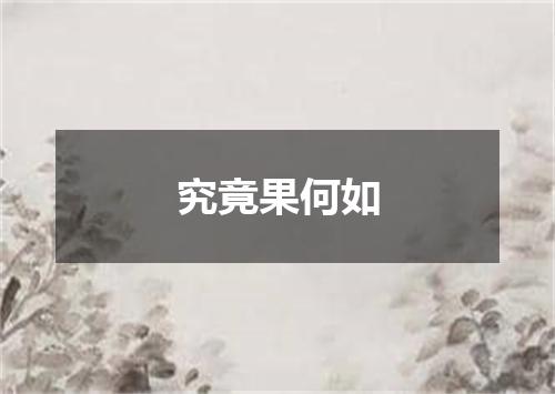究竟果何如