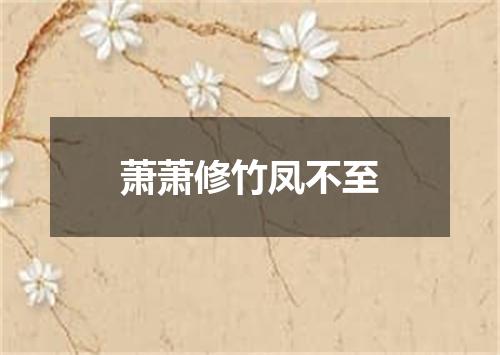 萧萧修竹凤不至