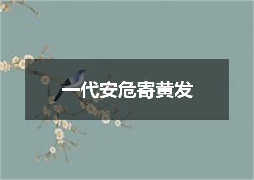 一代安危寄黄发