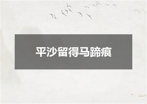 平沙留得马蹄痕