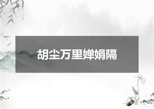 胡尘万里婵娟隔