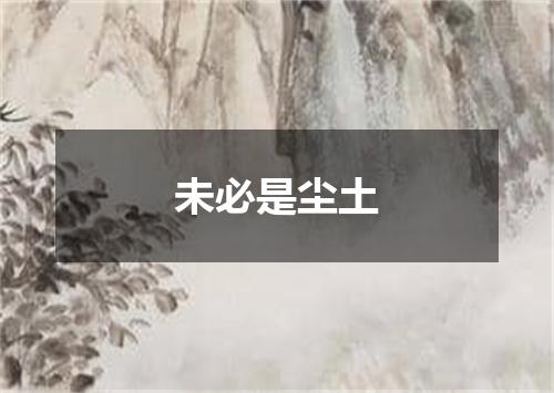 未必是尘土